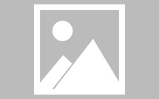宜宾武清网站建设方案（天津武清政府招标网）